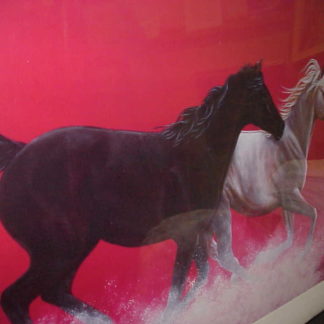 The Race
