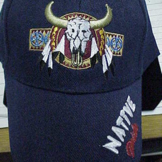 Hat Native Pride/w skull