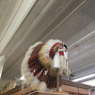 Lakota style War  Bonnet