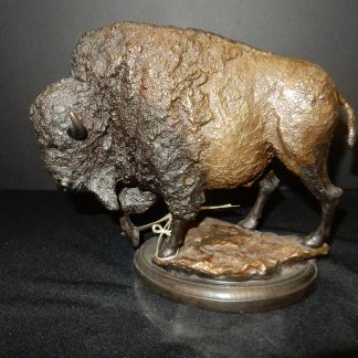 Bison