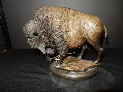 Bison